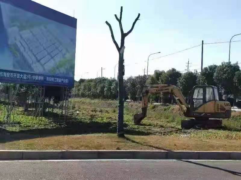 南通 精工智造產業(yè)園 單雙層稀缺廠房出售 南通 精工智造產業(yè)園 單雙層稀缺廠房出售