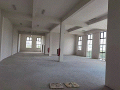 雙層獨(dú)立廠房，50年獨(dú)立產(chǎn)權(quán)，配套齊全，地理位置好，大小戶型