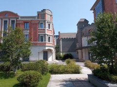 市中心全新優(yōu)質(zhì)廠房出租，面積1000-24000平