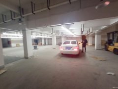 便宜地下倉庫出租，南通植物園南側(cè)，交通方便，有獨立大門CC