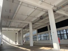 主城核心獨(dú)棟 雙拼 三拼 兩層 三層 三層半 單層廠房出售